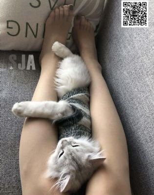 狂飙40集全部免费_720在线观看视频