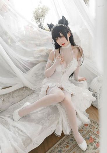 人鱼的旋律 动漫_高清高清视频播放