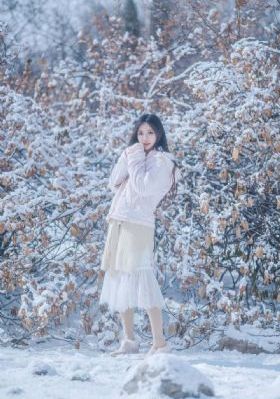 苍狼电视剧免费观看西瓜_高清直播在线观看